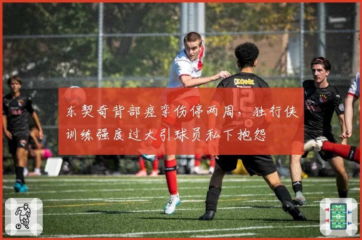 东契奇背部痉挛伤停两周，独行侠训练强度过大引球员私下抱怨