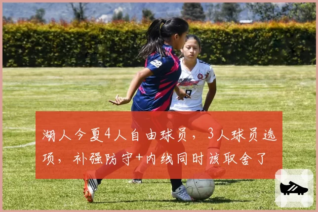 湖人今夏4人自由球员，3人球员选项，补强防守+内线同时该取舍了
