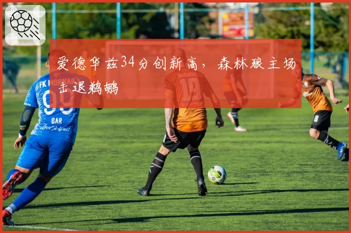 爱德华兹34分创新高，森林狼主场击退鹈鹕