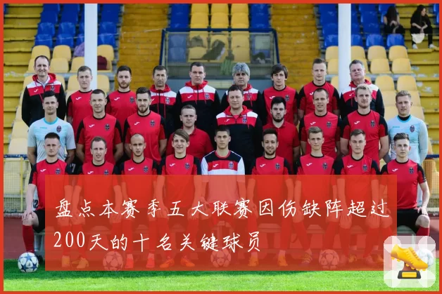盘点本赛季五大联赛因伤缺阵超过200天的十名关键球员